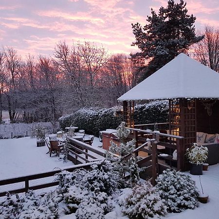 Ardlogie Guest House Aviemore Dış mekan fotoğraf