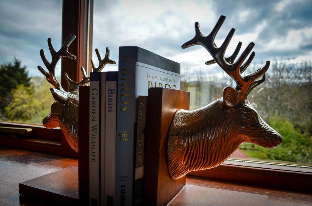 Ardlogie Guest House Aviemore Dış mekan fotoğraf