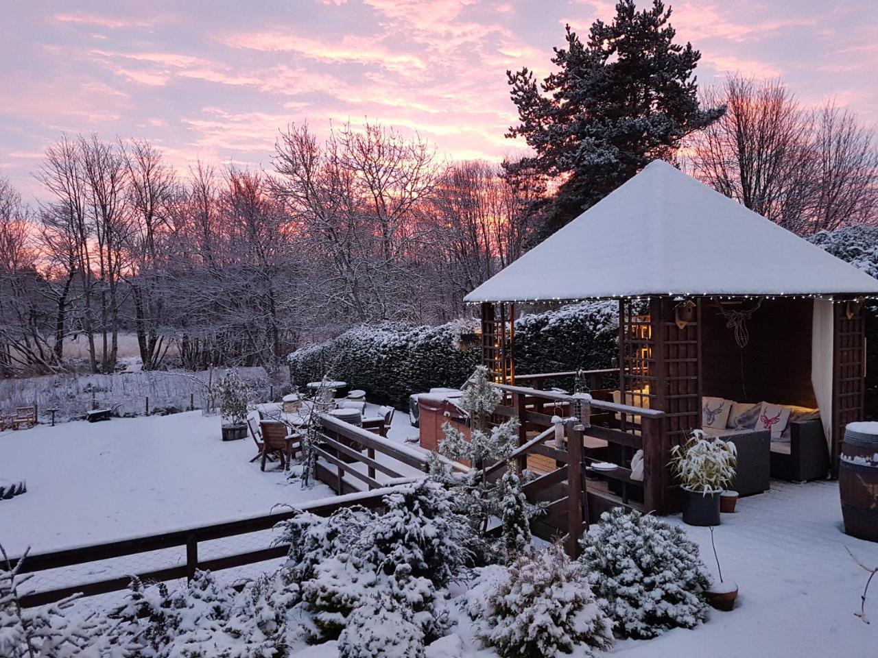 Ardlogie Guest House Aviemore Dış mekan fotoğraf